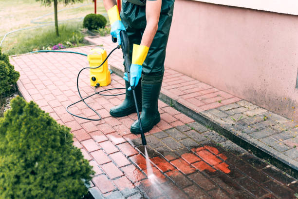 Best Parking Lot Cleaning in Amelia Court House, VA